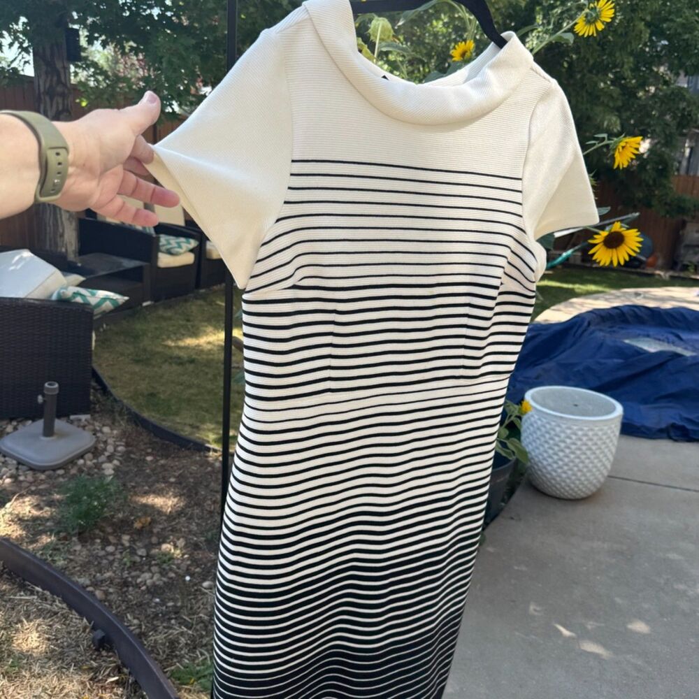 Talbots Black and White Knee-Length Dress Short Sleeve Accent Collar - Picture 4 of 9